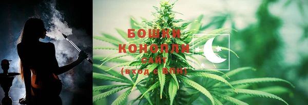 спайс Вяземский