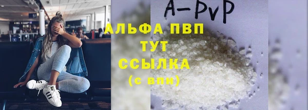 спайс Вяземский