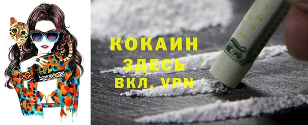 спайс Вяземский