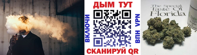где найти   мега ССЫЛКА  Бошки марихуана Amnesia  Ветлуга 